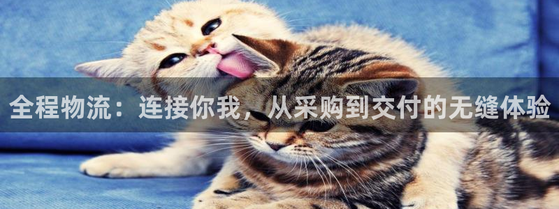 多多28官网入口官网：全程物流：连接