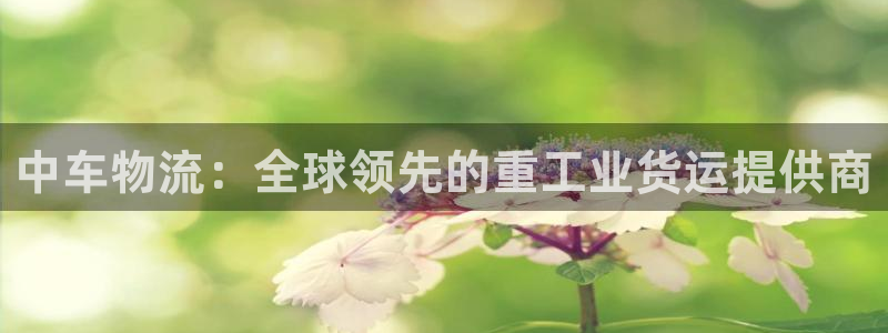 多多28注册流程：中车物流：全球领先的重工业货运提供商