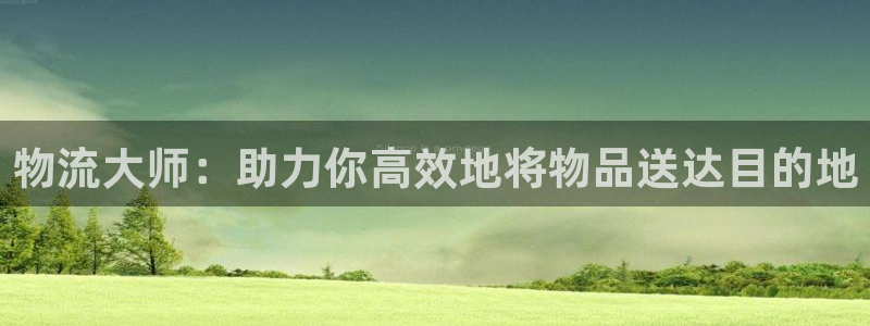 多多28那个才是充值账号：物流大师：
