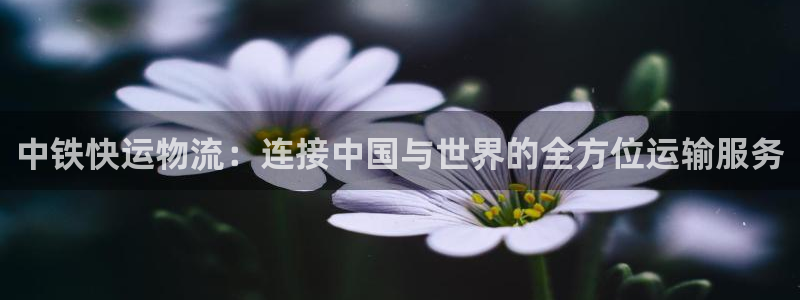 多多28p扣除是什么意思：中铁快运物
