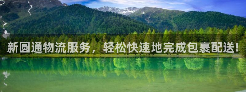 多多28预测：新圆通物流服务，轻松快