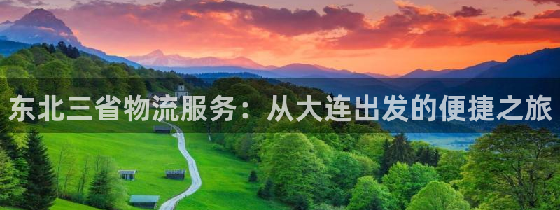 多多28连输10天：东北三省物流服务