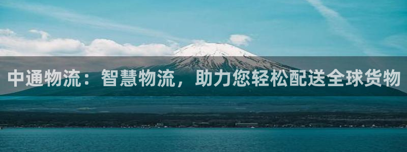 多多28登录流程：中通物流：智慧物流