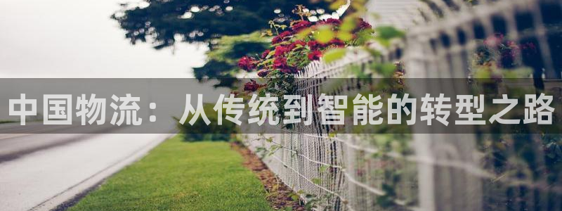 pc多多28怎么注册：中国物流：从传