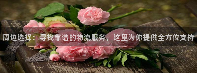多多28怎么注册下载：周边选择：寻找