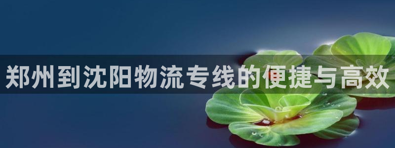 多多28正规吗?：郑州到沈阳物流专线