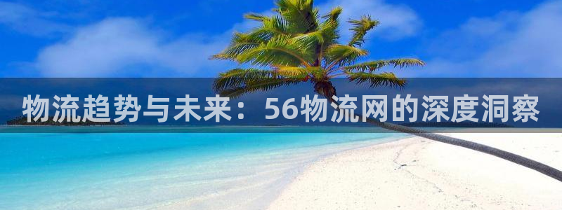多多28怎么注册账号和密码：物流趋势