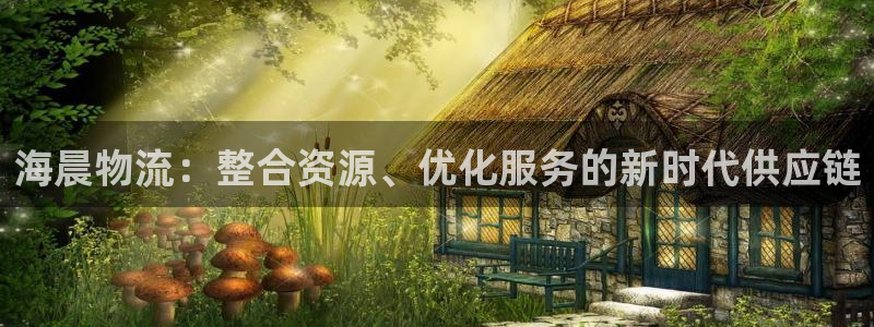 多多28注册链接入口：海晨物流：整合