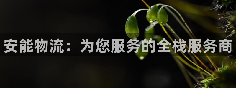 多多28客服电话：安能物流：为您服务