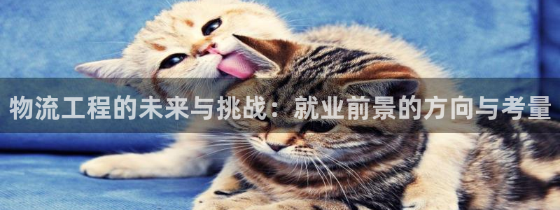 多多28下载体育：物流工程的未来与挑战：就业前景的方向与考量