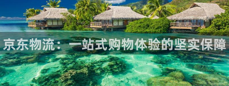 多多28新用户怎么注册：京东物流：一