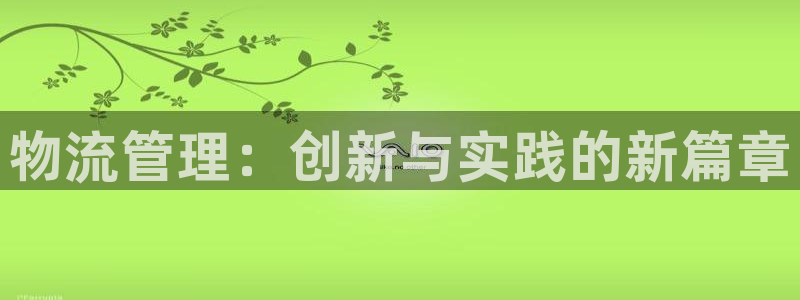 多多28流水怎么算:物流管理:创新与