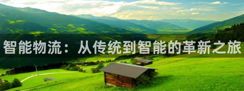 多多28cn:智能物流:从传统到智能