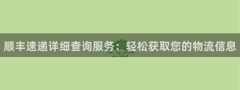 自行车多多28是什么意思:顺丰速递详