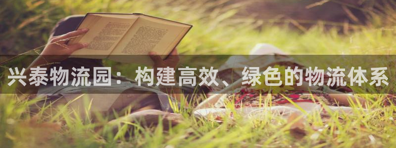 多多28app能退款吗:兴泰物流园: