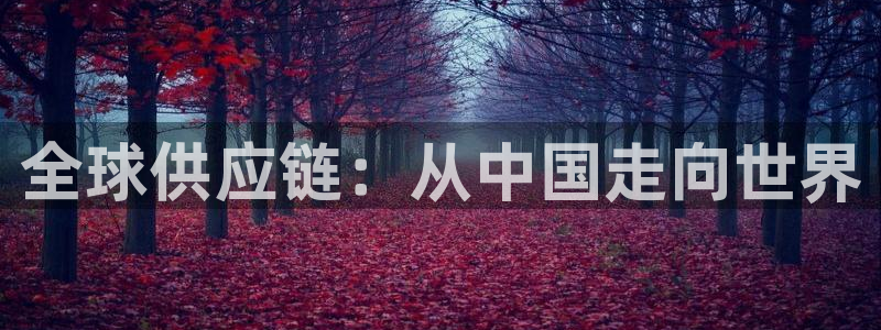 多多28选28ng官网:全球供应链: