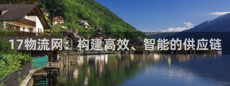 多多28正规吗:17物流网:构建高效