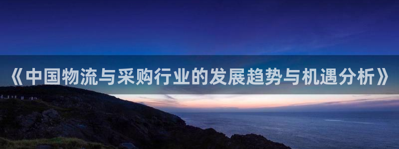 多多28连接:《中国物流与采购行业的