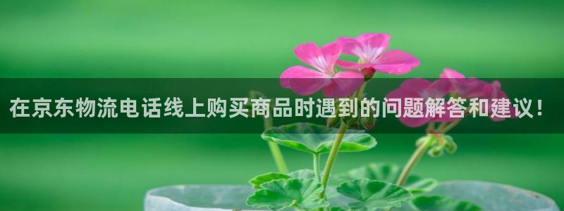 多多28官网下载链接是什么:在京东物