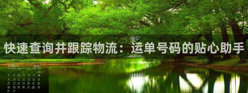 加拿大多多28数字规则