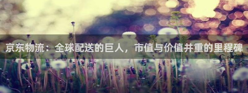 多多28官方网站是多少：京东物流：全