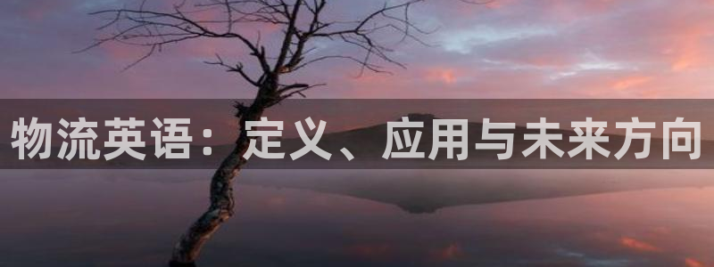 多多28黑吗：物流英语：定义、应用与