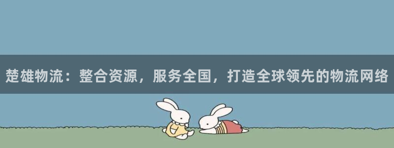 多多28流水怎么算：楚雄物流：整合资源，服务全国，打造全球领