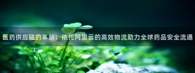 多多28官方官网：医药供应链的革新：
