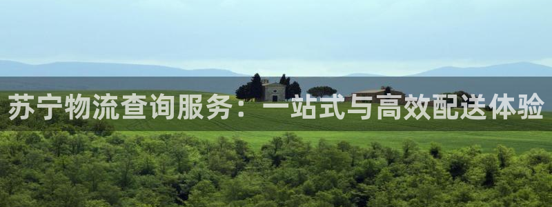 南宫多多28官网：苏宁物流查询服务：