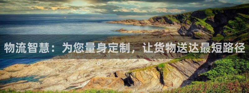 多多28官网下载链接是什么网站：物流智慧：为您量身定制，让货